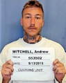 Inmate Andrew L Mitchell