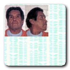 Inmate ANDREW ESCARSEGA