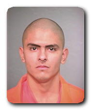 Inmate RAUL ALVAREZ