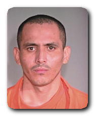 Inmate LUIS MENDOZA CARRERA