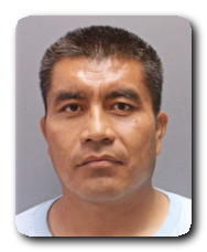Inmate LLUVER SOTELO