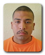 Inmate FRANK CABALLEROS