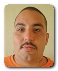 Inmate RYAN POLITO