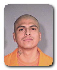 Inmate LINCE TERRONES