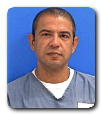 Inmate NIDEL M MANSOUR