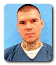 Inmate MATTHEW J HAMNER