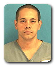 Inmate NELSON JR PEREZ