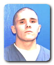 Inmate DOMINICK A MASCHERINO