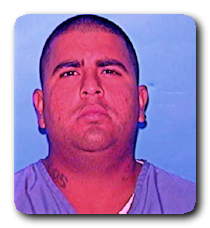 Inmate GUSTAVO F MERCADO