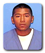 Inmate ANDRES FLORES