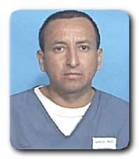 Inmate NELSON J CAMPOVERDE